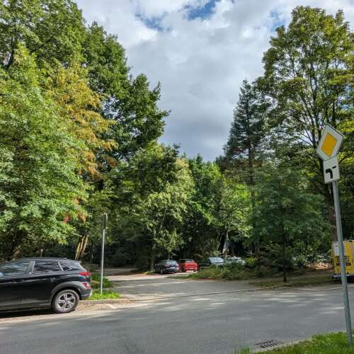 Eine ländliche Straße mit dichtem Baumbestand auf beiden Seiten, auf der Autos in beide Richtungen fahren. Ein Verkehrsschild warnt vor einer Kurve.
